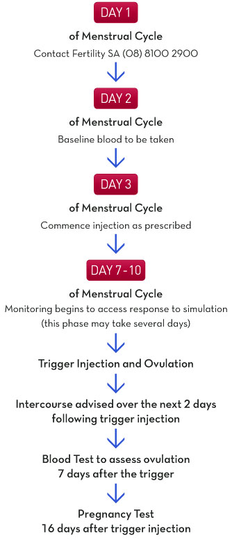 Test Tube Baby | Infertility | Mauli Test Tube Baby | Indira IVF Satara | IVF | Fertility SA Ovulation Flow Chart
